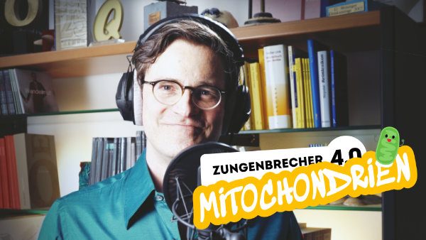 ZB40 Mitochondrien WEBSITE Ssm